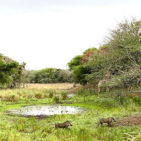 Hideaways Lazuli Bush Lodge, Hluhluwe Kültér fotó