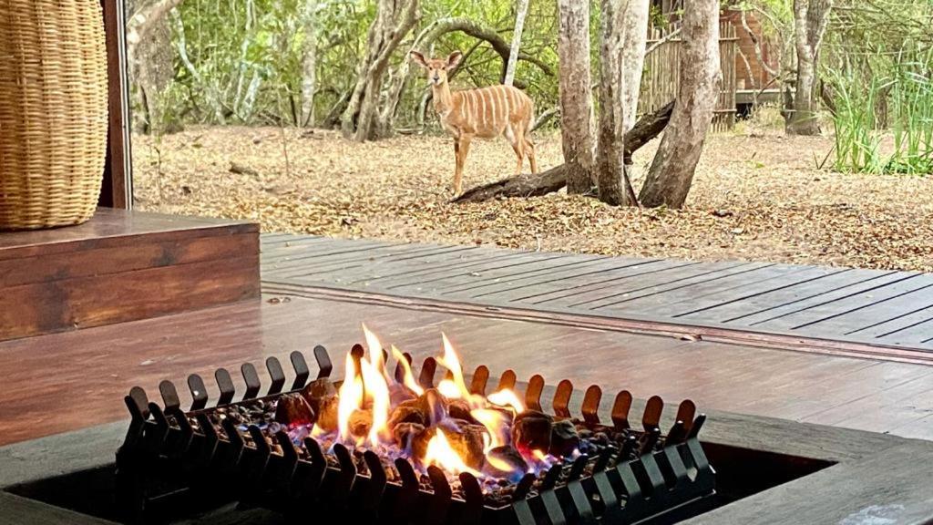 Hideaways Lazuli Bush Lodge, Hluhluwe Kültér fotó