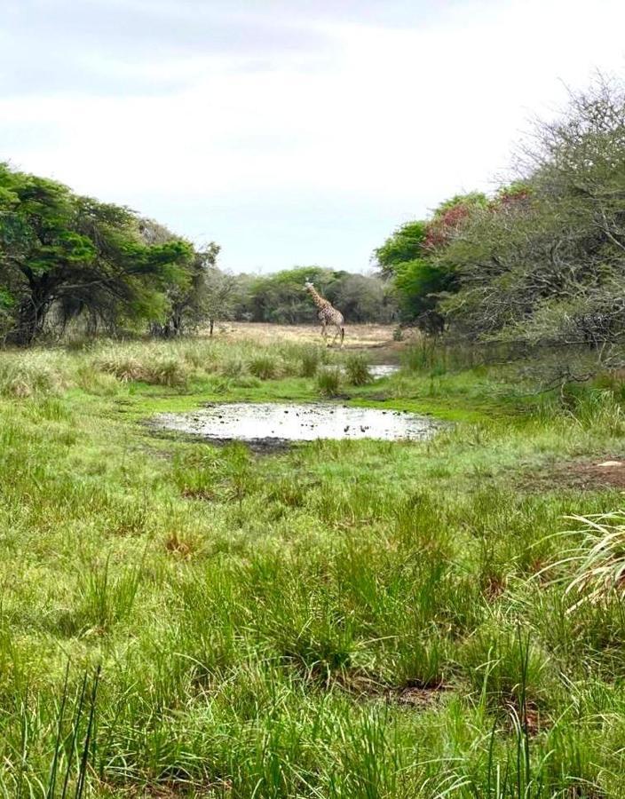 Hideaways Lazuli Bush Lodge, Hluhluwe Kültér fotó
