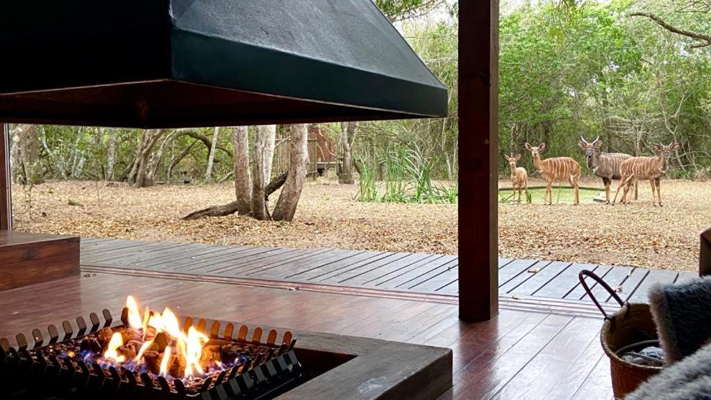 Hideaways Lazuli Bush Lodge, Hluhluwe Kültér fotó
